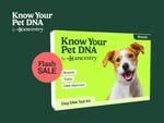 Know Your Pet Dna