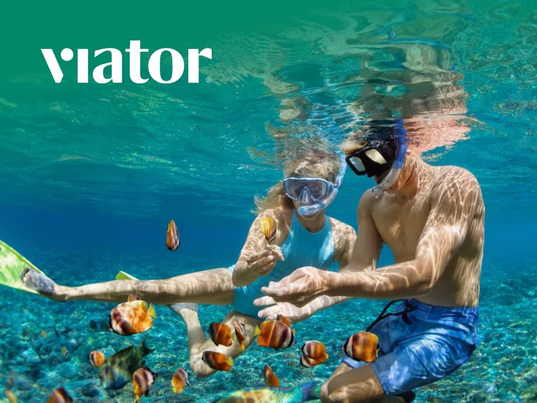 Viator 1 Brand Discount And Promotional Offer Graphic