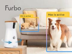 Furbo