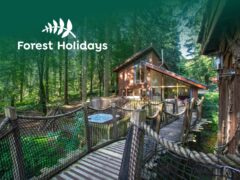 Forest Holidays