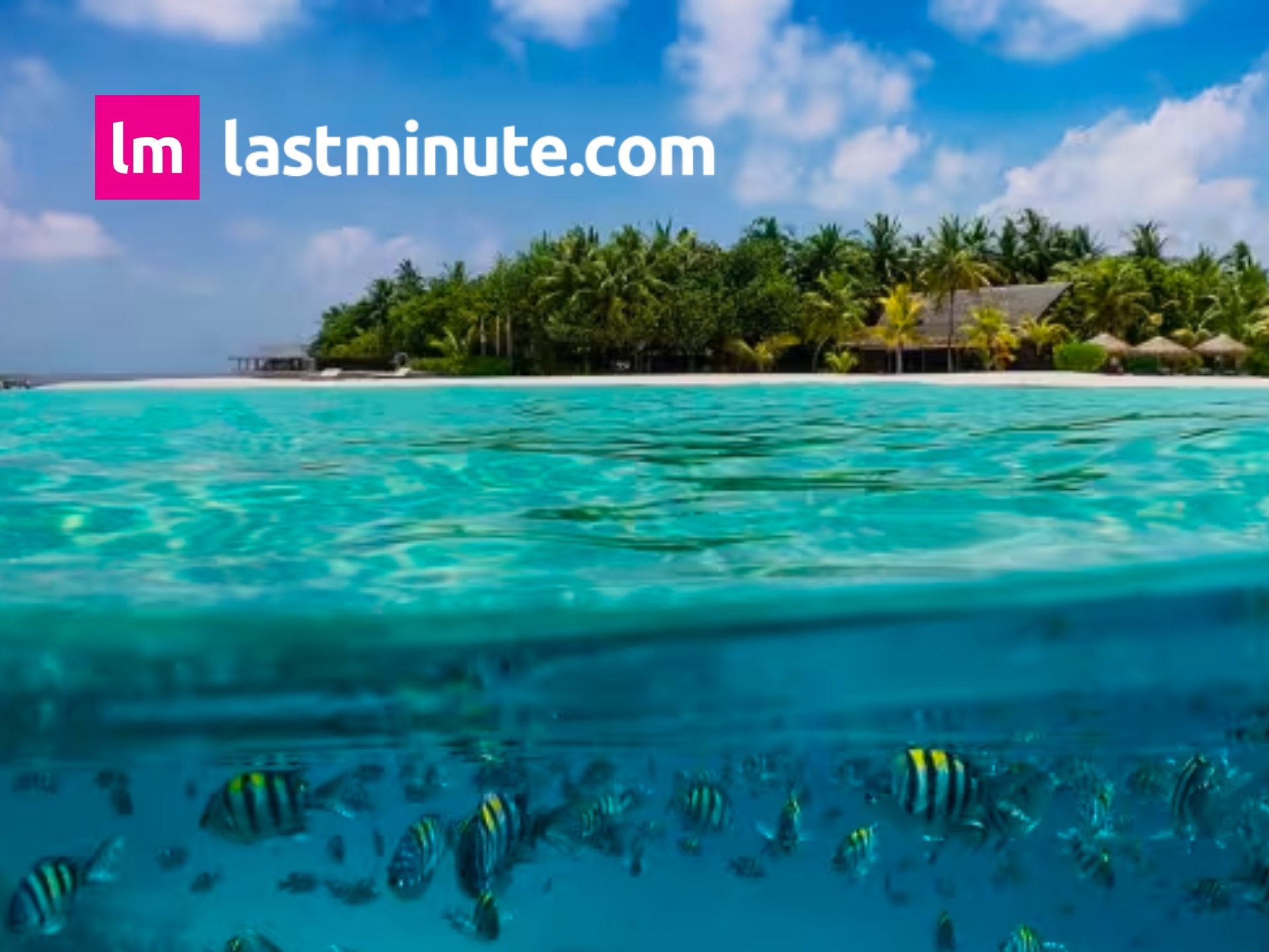 Last Minute Com cover image - deals, discounts, last minute offers, shopping, deals website