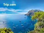 Trip.com