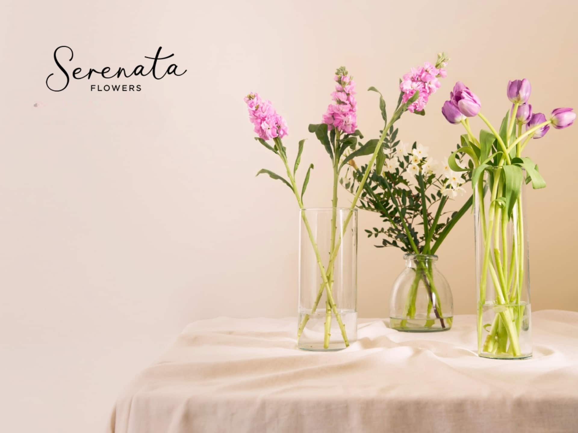 Serenata Flowers