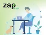 Zap Surveys