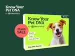 Know Your Pet DNA